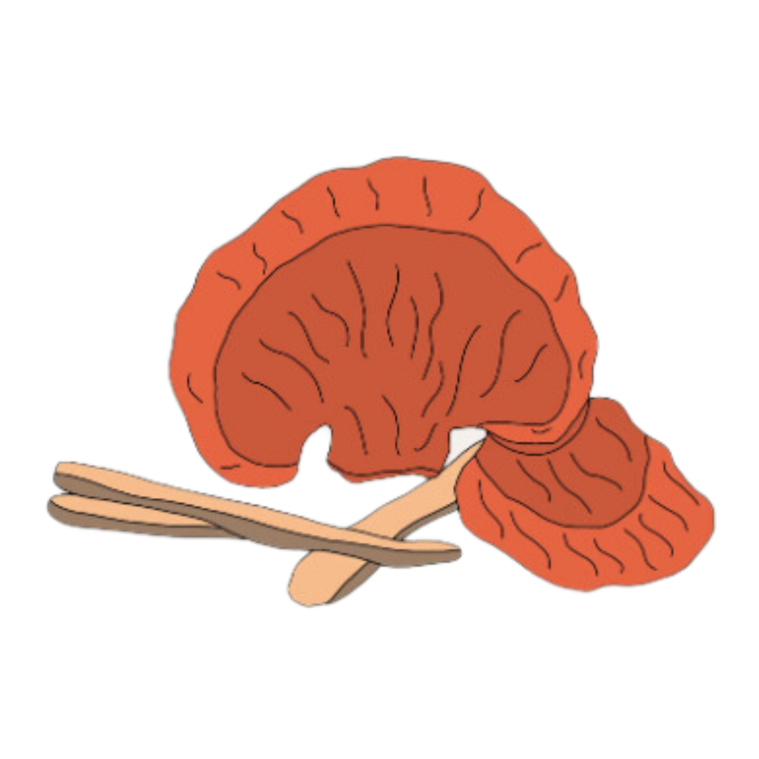 Reishi.png__PID:e9919cd4-a5ed-4d99-8c9f-931b814987f6